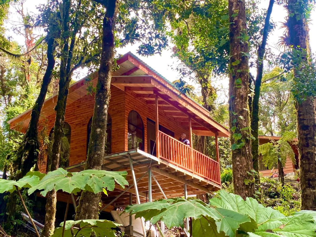Cabana Anturios San José Dış mekan fotoğraf