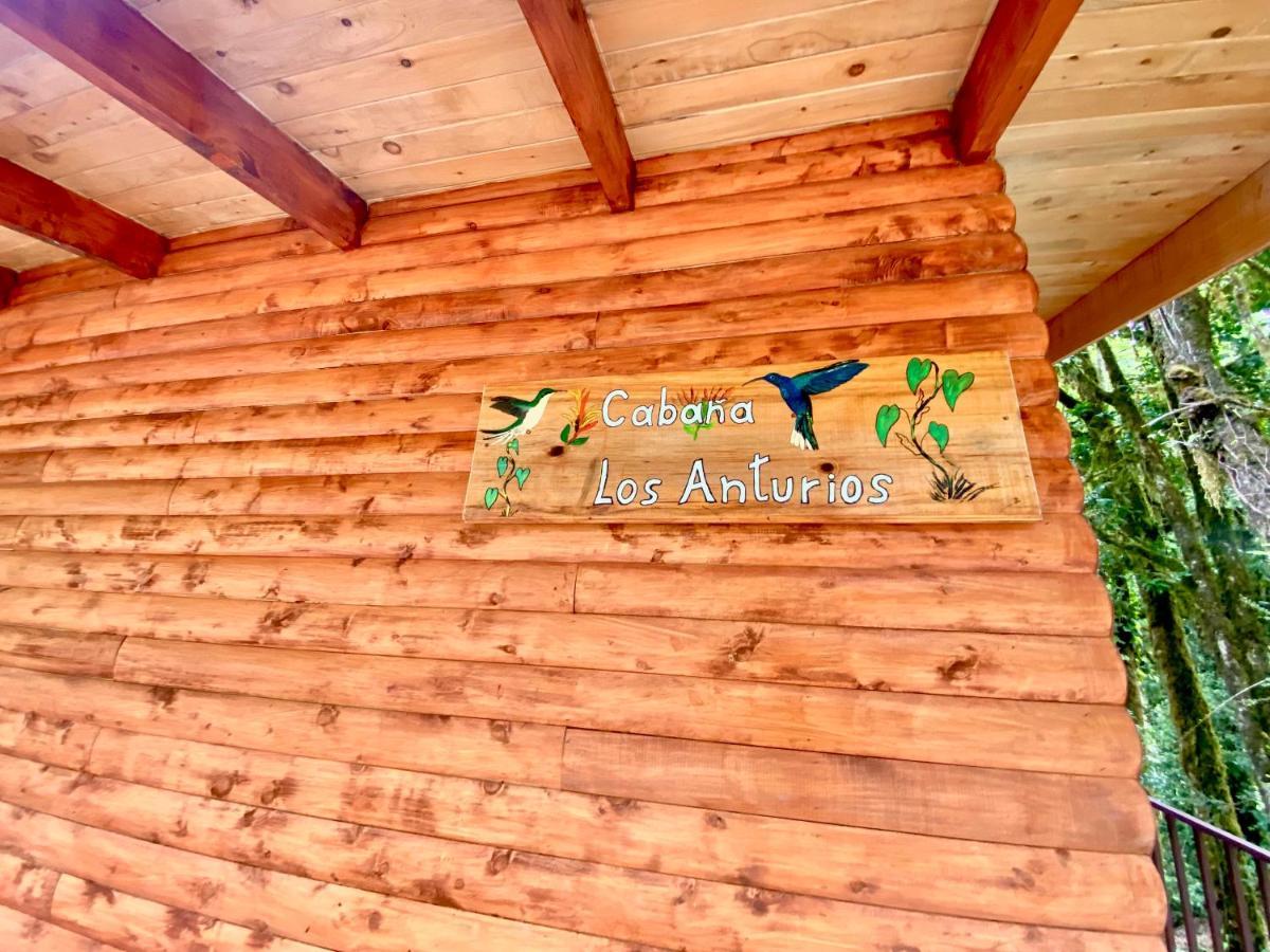 Cabana Anturios San José Dış mekan fotoğraf