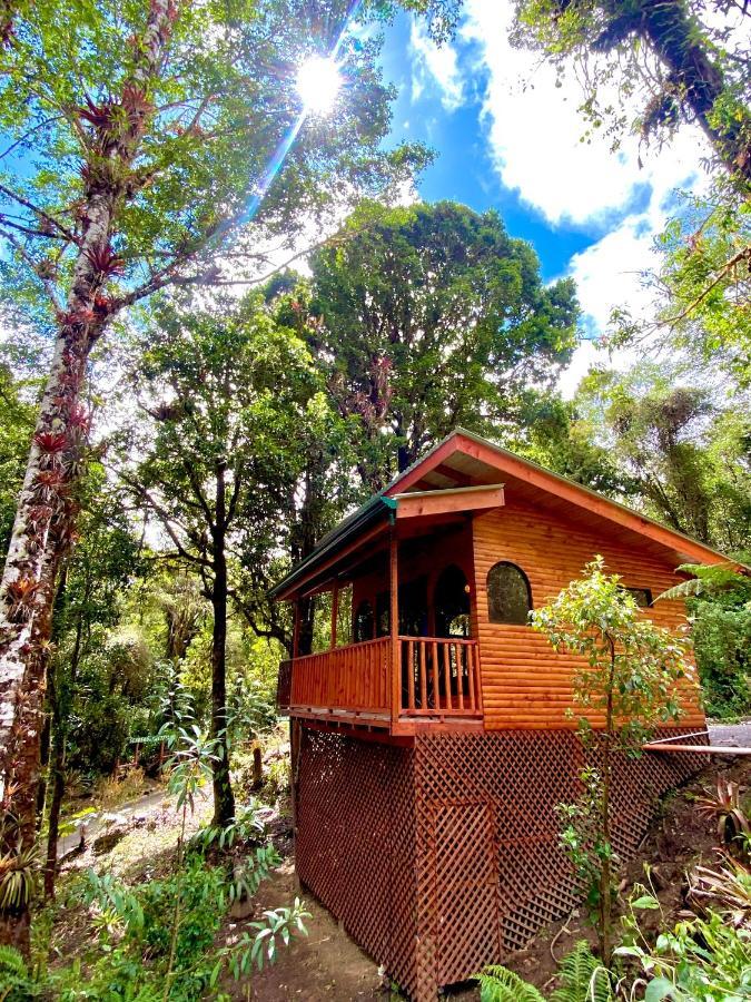 Cabana Anturios San José Dış mekan fotoğraf