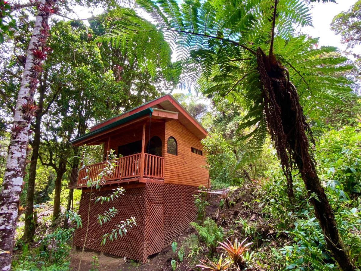 Cabana Anturios San José Dış mekan fotoğraf