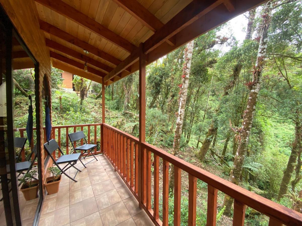 Cabana Anturios San José Dış mekan fotoğraf