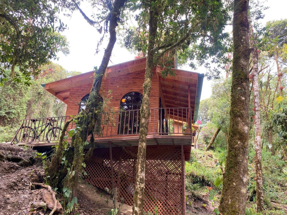 Cabana Anturios San José Dış mekan fotoğraf