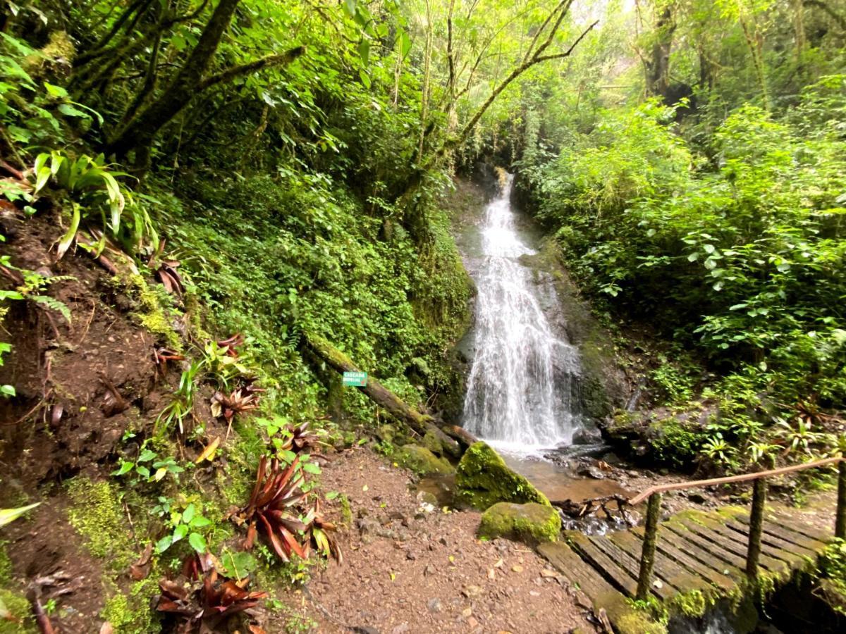 Cabana Anturios San José Dış mekan fotoğraf