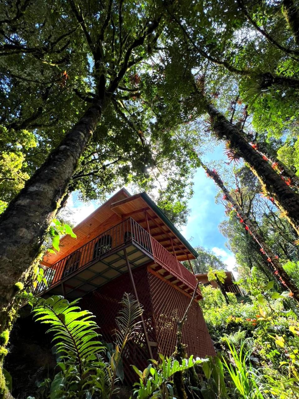 Cabana Anturios San José Dış mekan fotoğraf